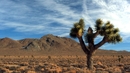Пустинята Мохаве и бурният Лас Вегас