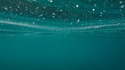 България в топ 2 на ЕС по отлично качество на водите