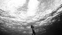 Интересни и малко известни факти за Черно море