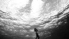 Интересни и малко известни факти за Черно море