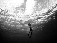 Интересни и малко известни факти за Черно море