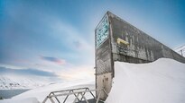 Глобалният трезор в Норвегия – спасителят на семената на човечеството