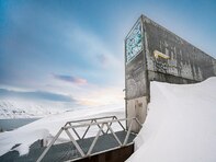Глобалният трезор в Норвегия – спасителят на семената на човечеството