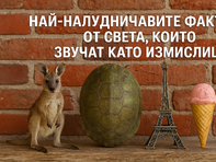 Най-налудничавите факти от света, които звучат като измислица