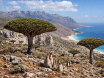 Сокотра – интересни факти за един от най-необичайните острови в света