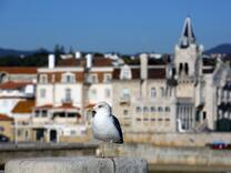 Малките градчета на Португалия, които ще ви впечатлят със своя чар