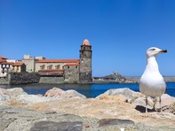 Малкият френски град, кацнал над морето — Колиур