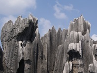 Каменната гора, създадена от времето — Шилин