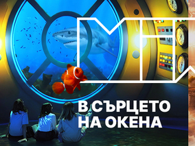 Боговете на Олимп и тайните на океана оживяват в новата програма на MINA Sofia