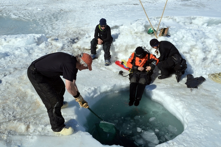Антарктида: Експедиция под вечния лед