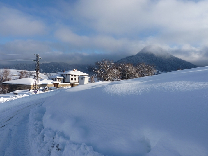 20 прекрасни зимни снимки от България